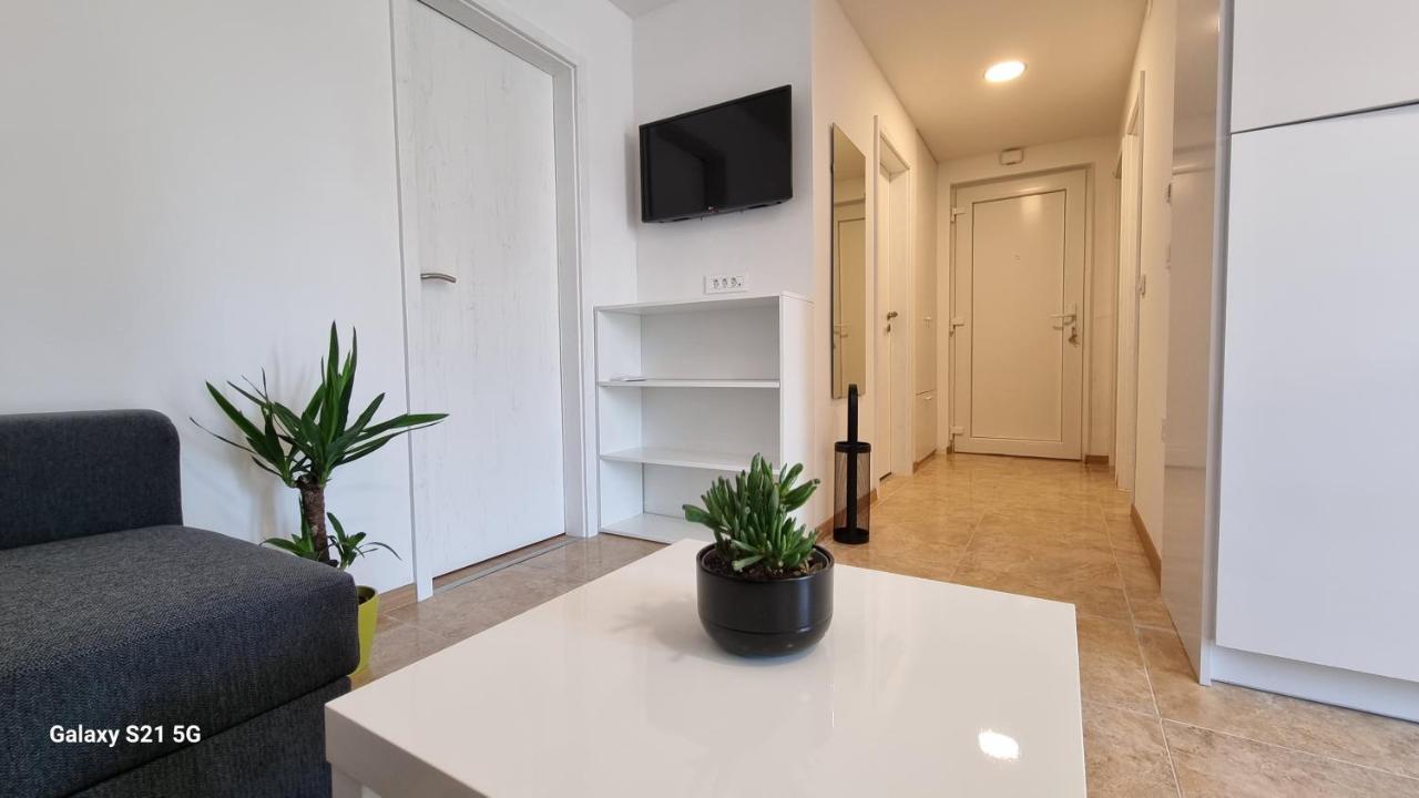 Apartment Rivarela Blu - Newly Renovated And Top Location Near Sea Novigrad Istria Eksteriør billede