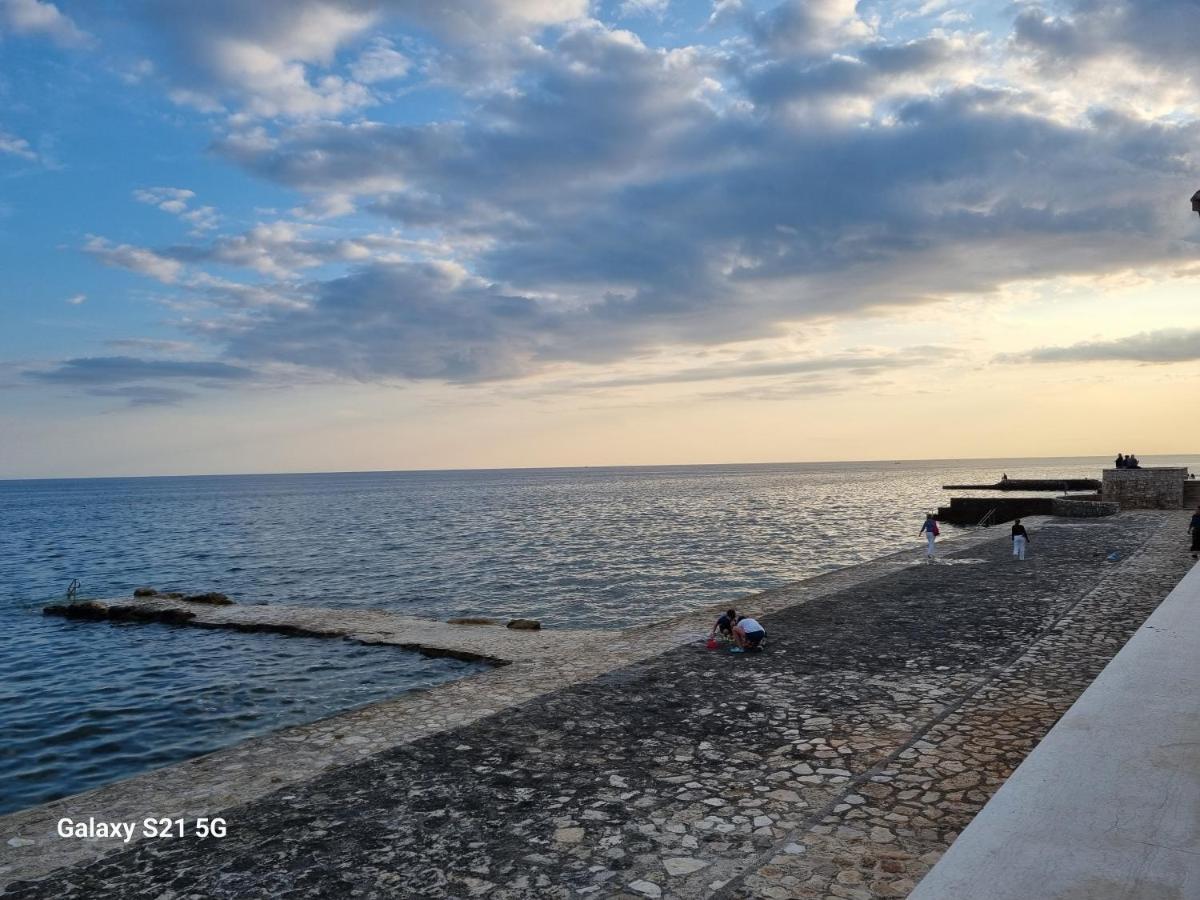 Apartment Rivarela Blu - Newly Renovated And Top Location Near Sea Novigrad Istria Eksteriør billede